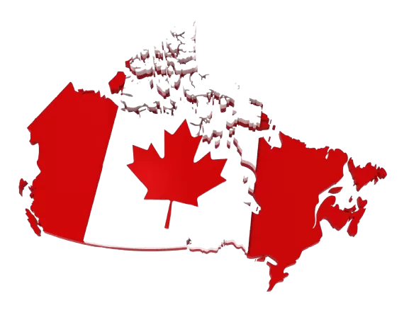 Apply for a Canadian Police Clearance Certificate.
