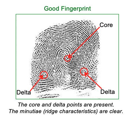 Good fingerprint