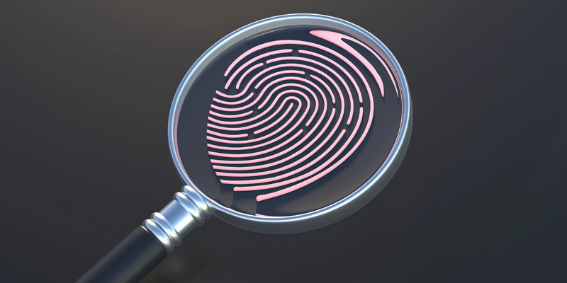 digital fingerprinting